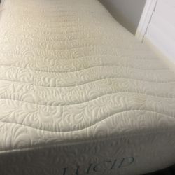 Twin XL Mattress - lucid