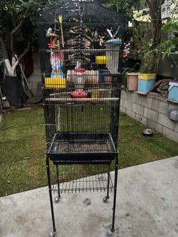 Jaula Para Pajaritos