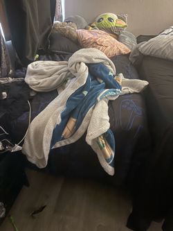 Black bed frame & twin sized mattress