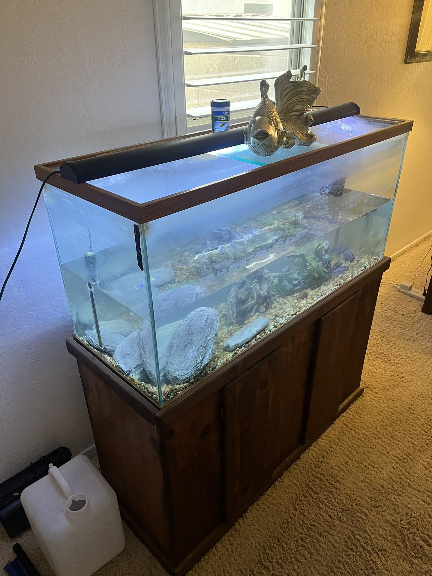 75 Gallon glass Fish Tank With Accessories And Stand