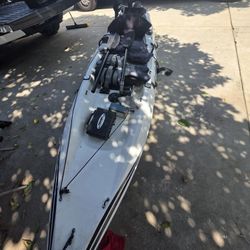 Cobra Fish N Dive Kayak.