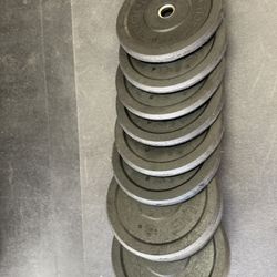 Rogue Bumper Plate Set