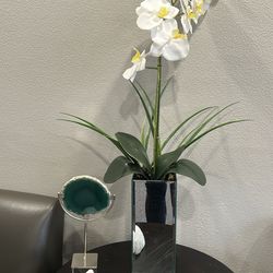 Orchid in mirror vase