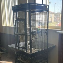 Bird Cage 
