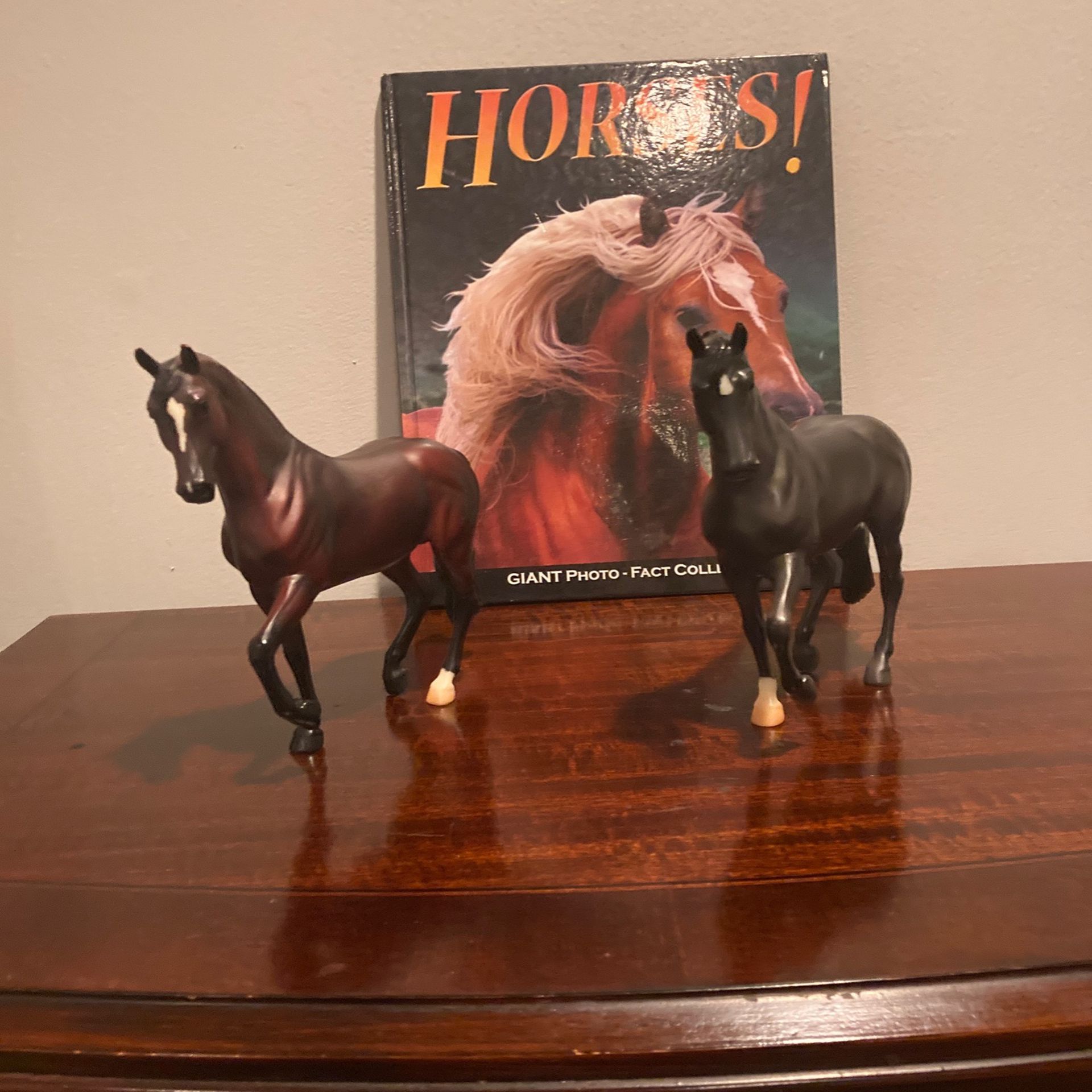 Breyer Horses And Picture Horse Book