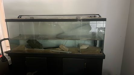 50 Gallon Tank
