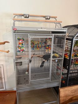Bird cage