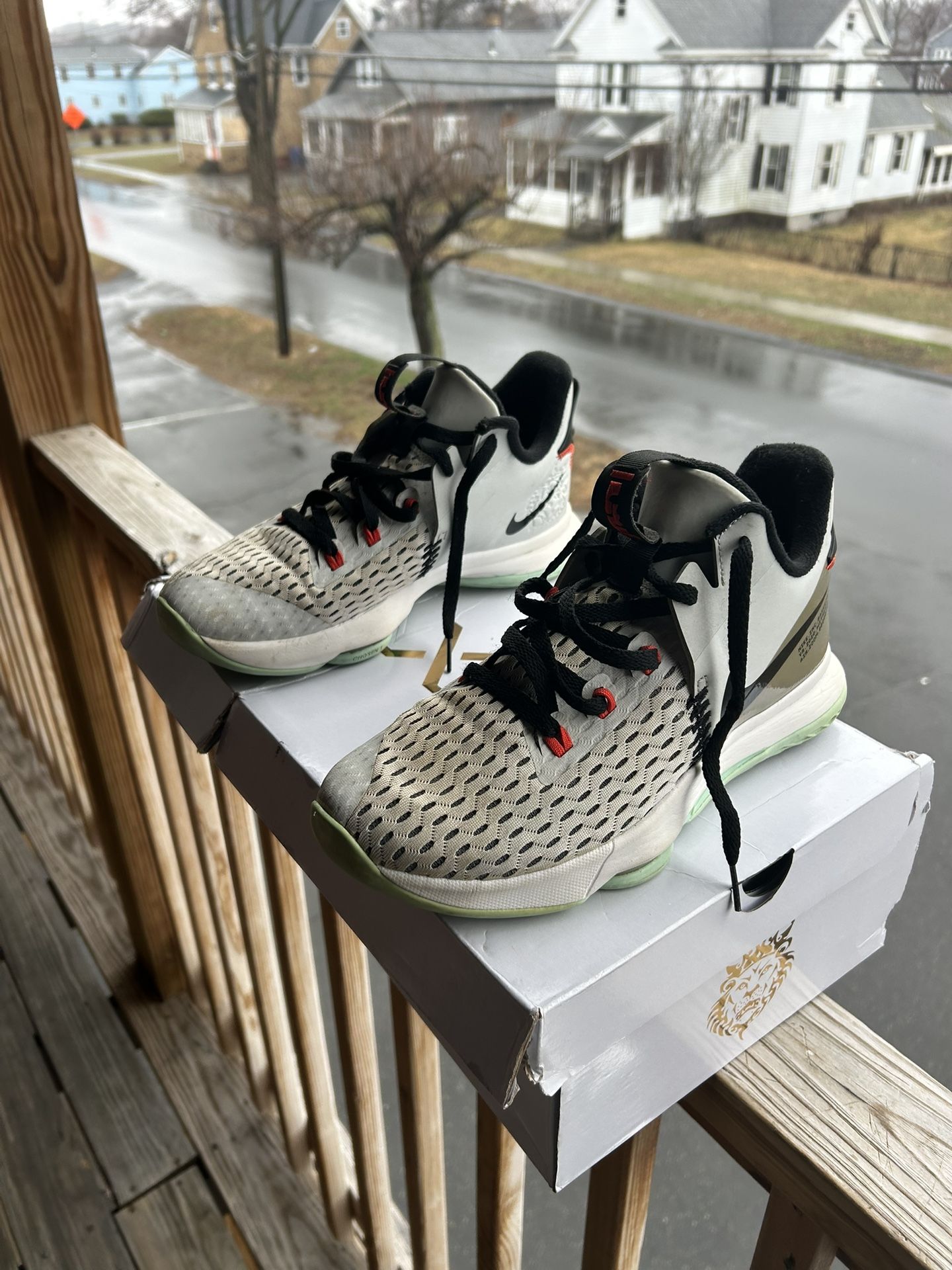 LeBron 5 Pure Platinum Size 9.5