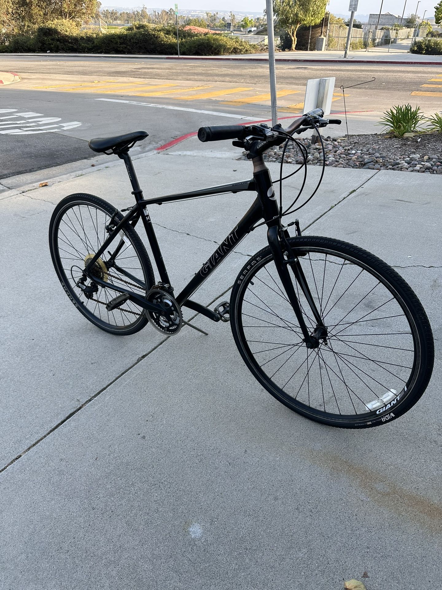 Giant Hybrid 2 Bike 