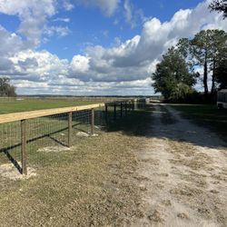 Fence 