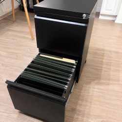     Black 2-Drawer Filing Cabinet with Lock (Excellent Condition)