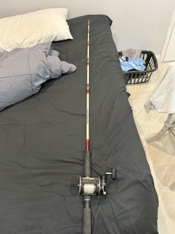 Penn 350 On A Penn Rod