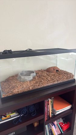 Reptile tank with heater