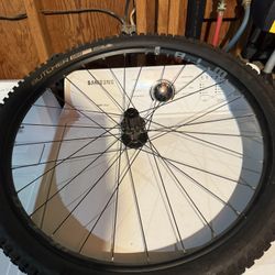 29” Rear Bike Tire