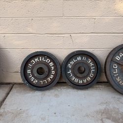 25lb Cap Weight Plates 