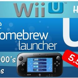Wii U Modding Service