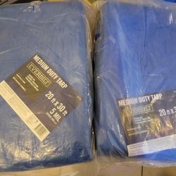 EVERBILT  20 ft x 30 ft  5 MIL MEDIUM DUTY TARP

