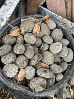 Lave Rock - Fire pit