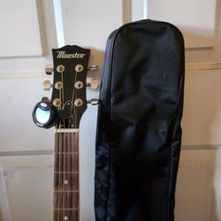 Acoustic Guitar Maestro By Gibson