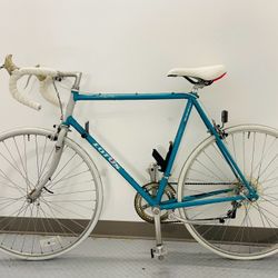 Beautiful Bicycle Lotus Road Bike 