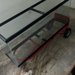 55 Gallon Fish Tank