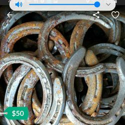 Steel horse shoes
