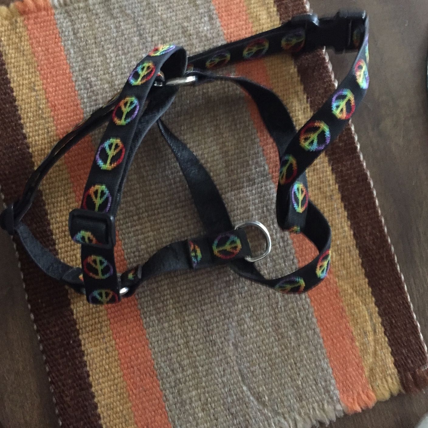 Lupine Brand Dog Harness.