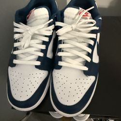 Nike Dunks