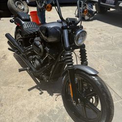 Harley Davidson 2022 Soft tail Street Bob Low Miles