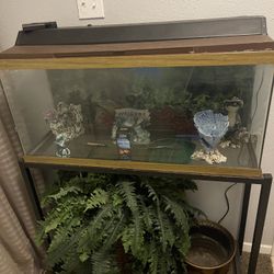 FISH TANK  And DECORATIONS 