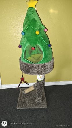 Cat Scracher Condo New