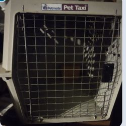 Medium Pet Taxi 