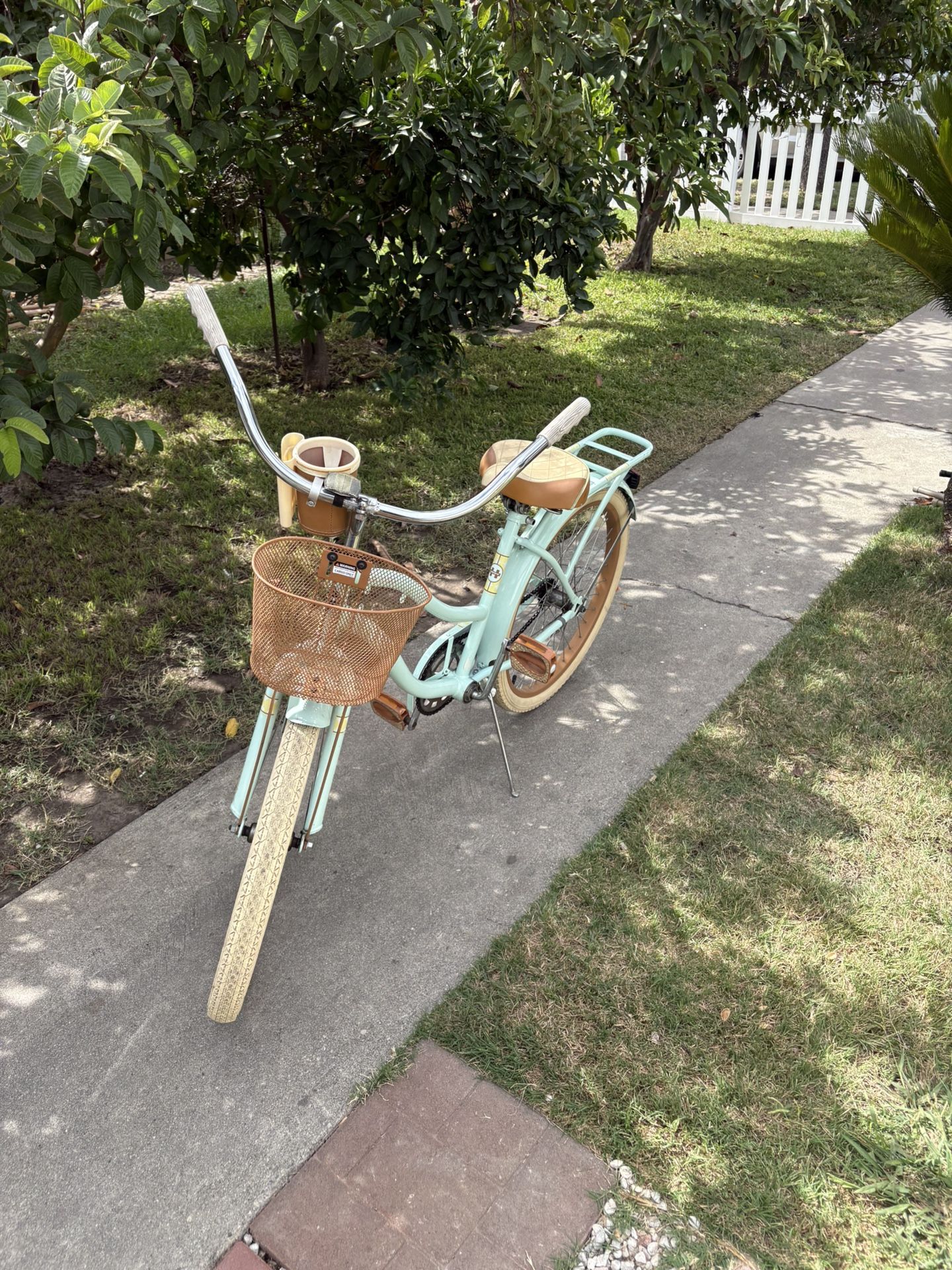 Beach Cruiser 24