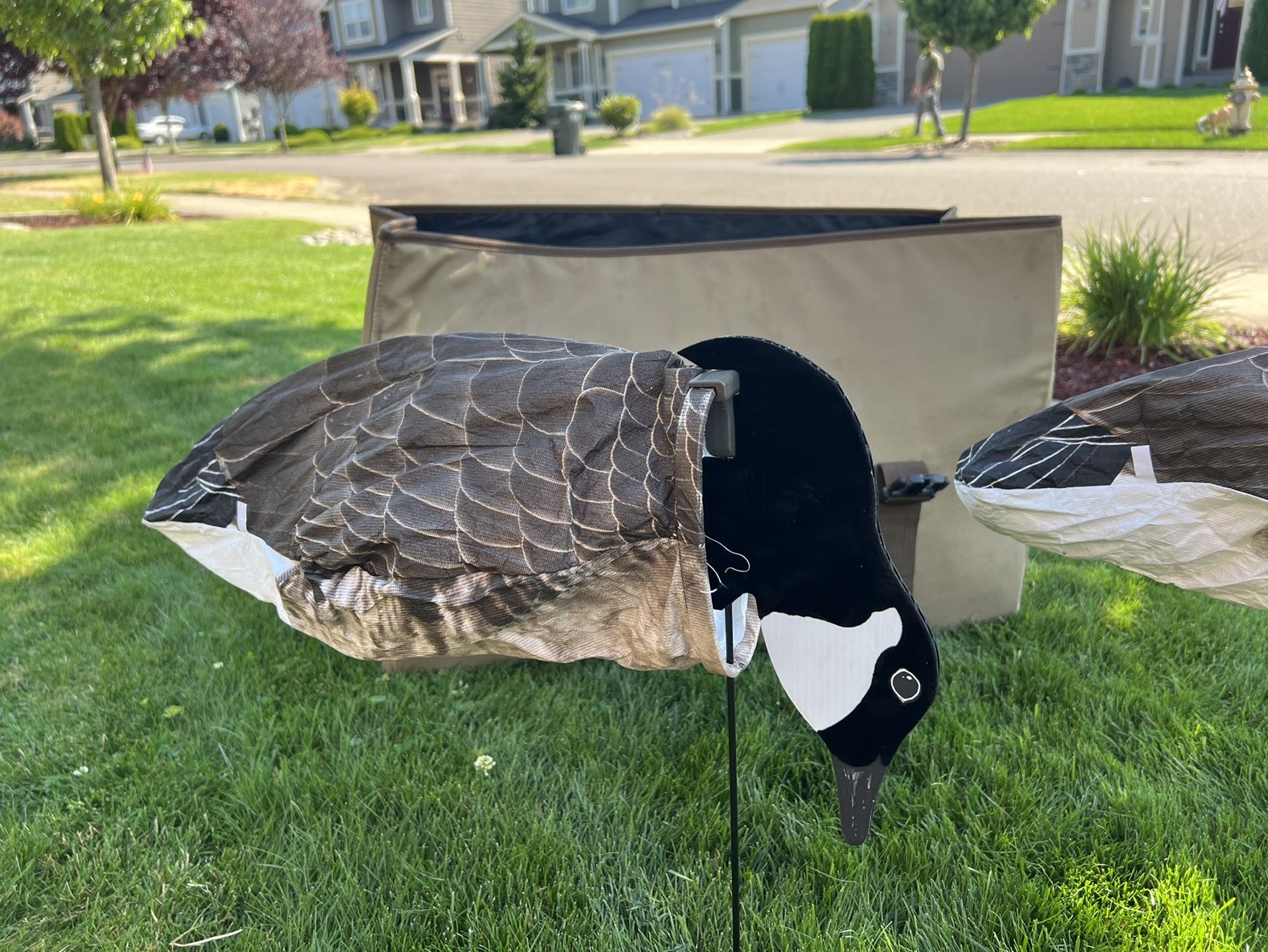 Dive Bomb Decoys