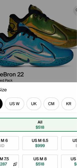 LeBron 22 golden size 9