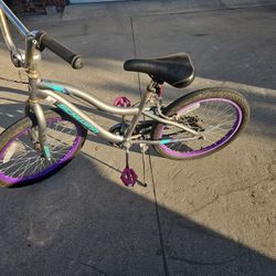 Expensive Schwinn Grey Bike Brakes Good Tires  200 