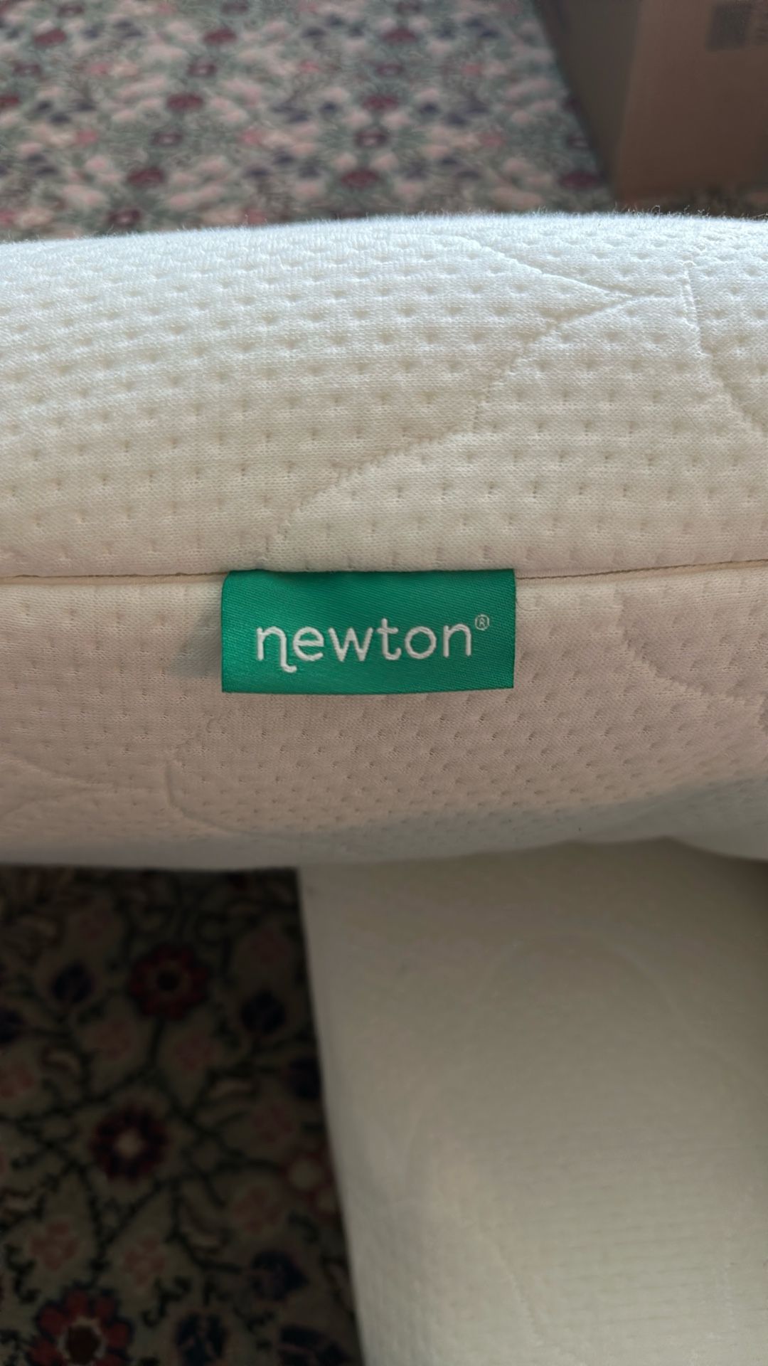 The Pregnancy Pillow