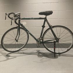 Refurbished Adult Sized Bicycle