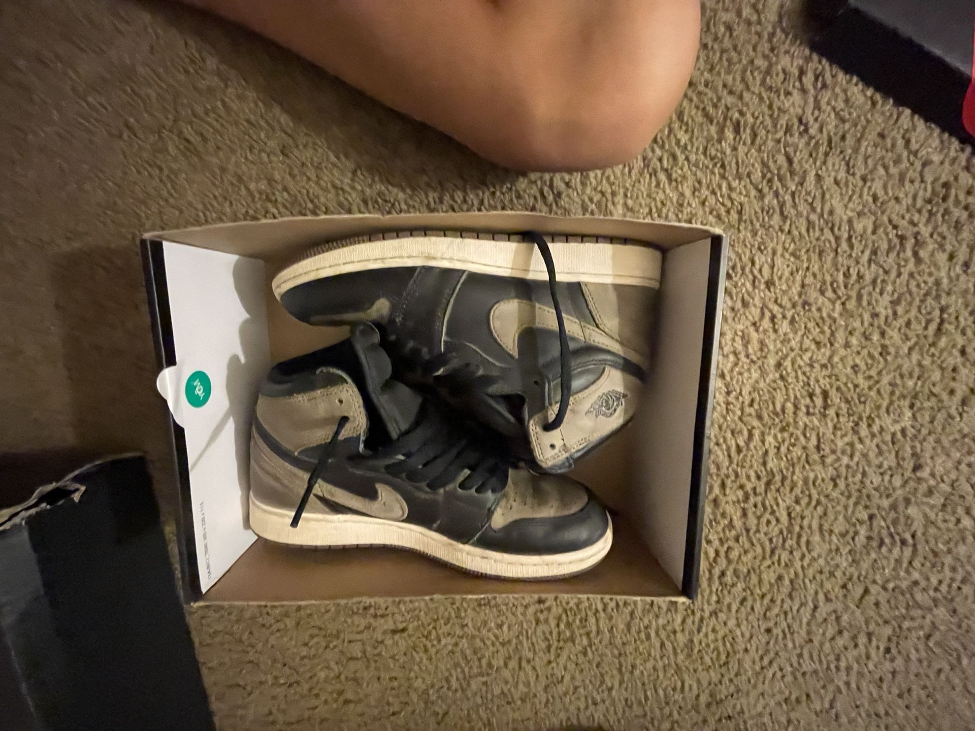 Jordan 1 Palmino (og)