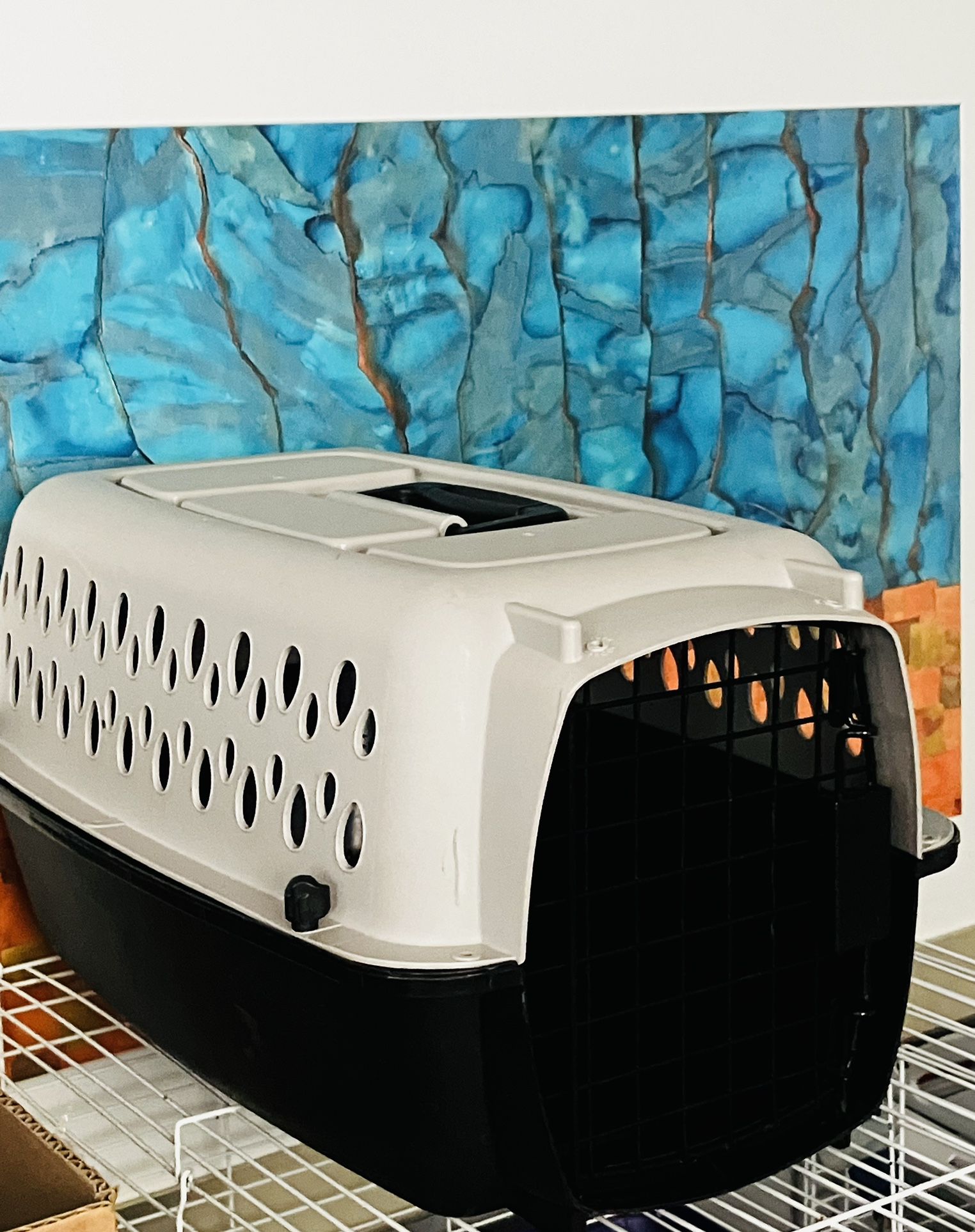 Dog/Cat Carrier Kennel (Small)
