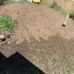 Dirt