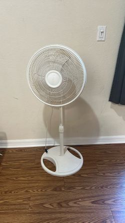 Fan