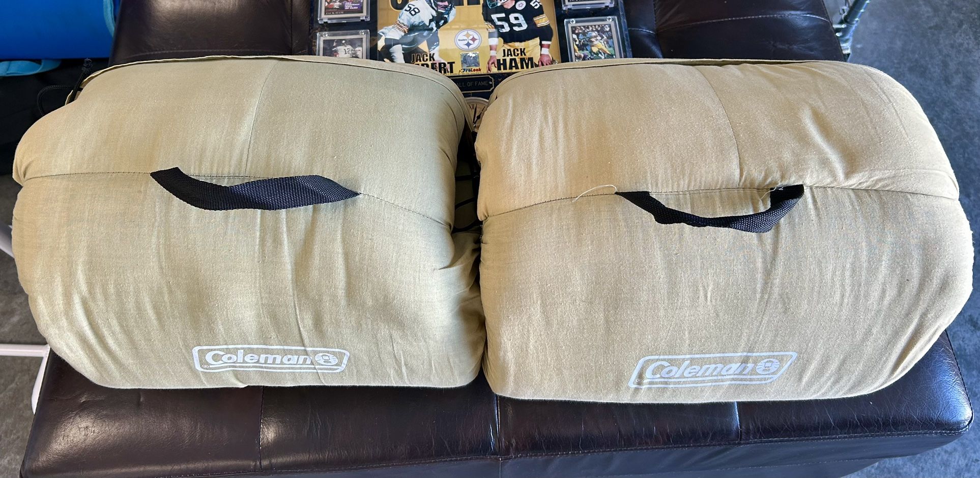Coleman Sleeping Bags