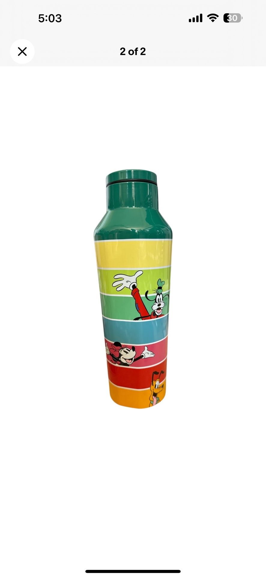 2024 Disney Parks Mickey Mouse & Friends 20oz Corkcicle Canteen Brand NEW!