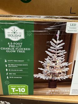 Christmas Trees 3 3.5 4 foot