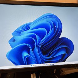 DELL OPTIPLEX 390 Win11 24H2 Pro $100 CASH ONLY