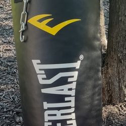 Punching Bag - Everlast Heavy Bag With Boxing Set-up