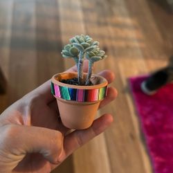 Tiny Fake Plant