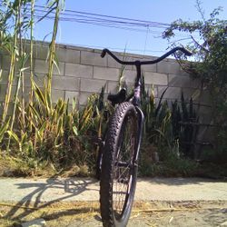 PHAT CYCLES SEA BREEZE MENS CRUISER REFURBISHED OBO 