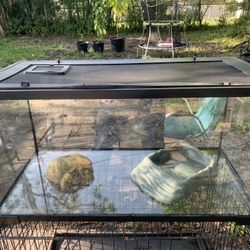 Tank For Tortuga And Dragons 